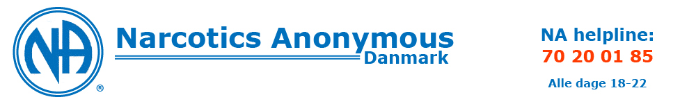 NA Møde i Lyngby